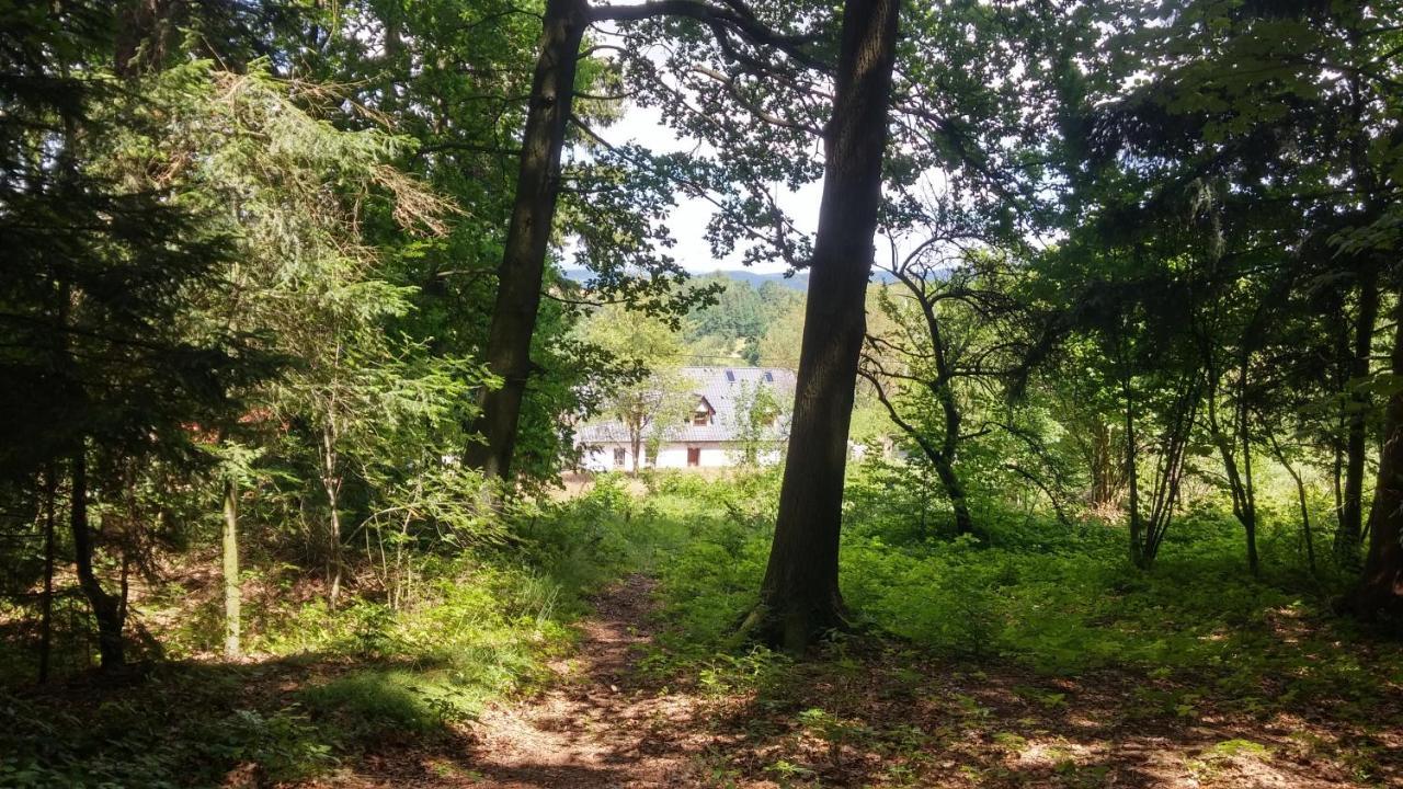 Pokoje Goscinne Art- Dworek Kudowa-Zdrój Esterno foto