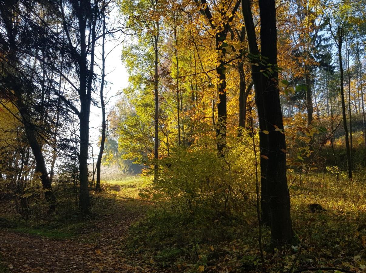 Pokoje Goscinne Art- Dworek Kudowa-Zdrój Esterno foto