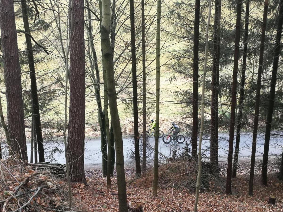 Pokoje Goscinne Art- Dworek Kudowa-Zdrój Esterno foto