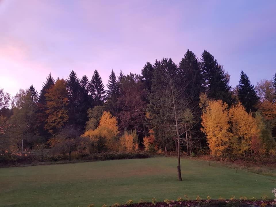 Pokoje Goscinne Art- Dworek Kudowa-Zdrój Esterno foto