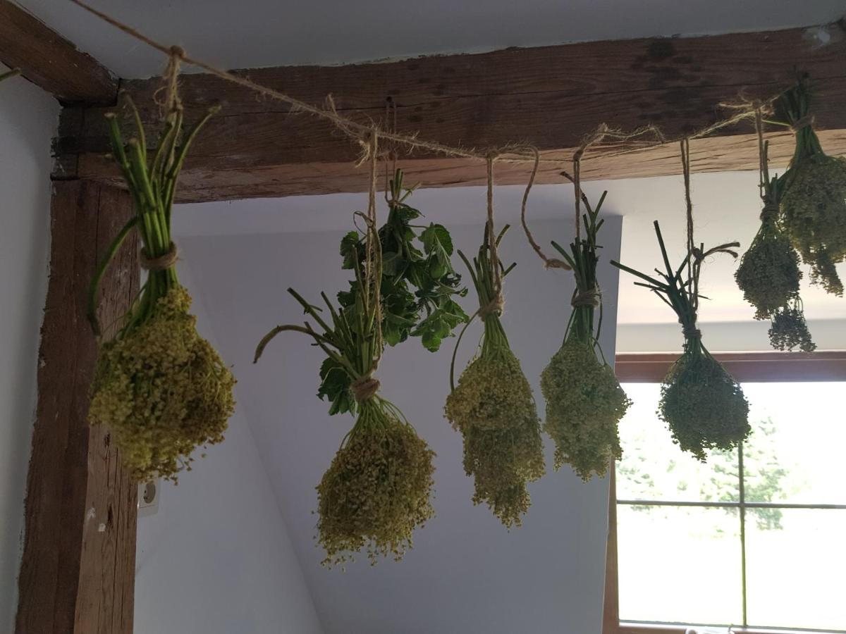 Pokoje Goscinne Art- Dworek Kudowa-Zdrój Esterno foto