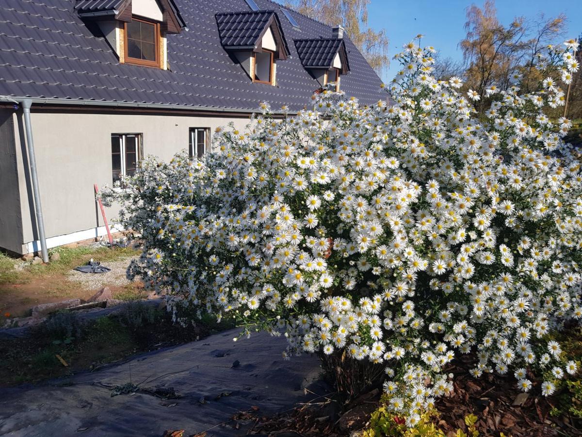 Pokoje Goscinne Art- Dworek Kudowa-Zdrój Esterno foto