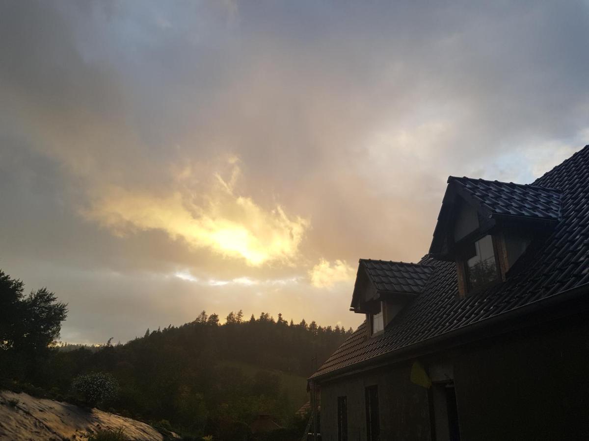 Pokoje Goscinne Art- Dworek Kudowa-Zdrój Esterno foto
