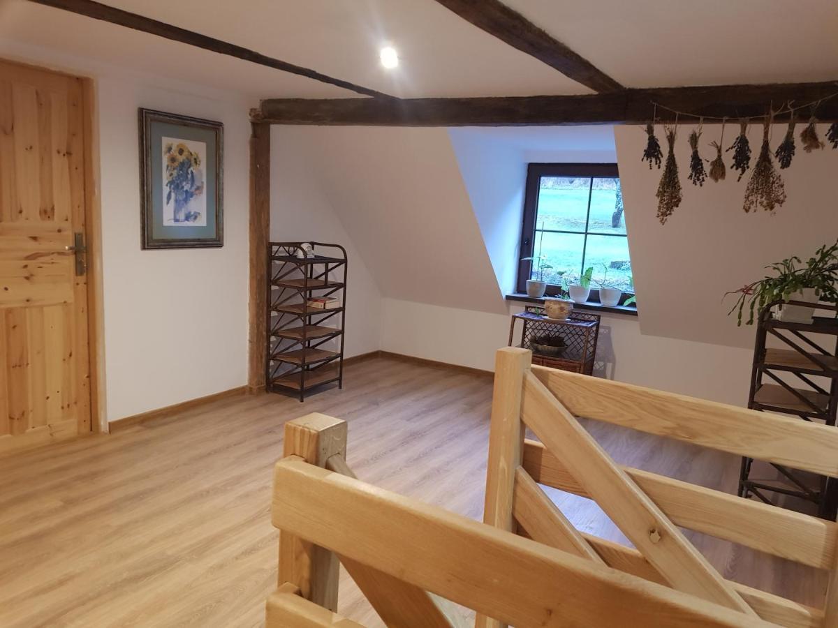 Pokoje Goscinne Art- Dworek Kudowa-Zdrój Esterno foto