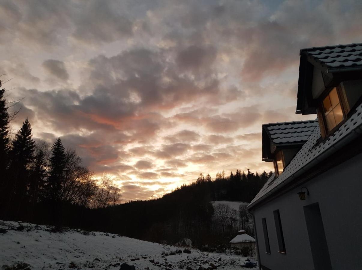 Pokoje Goscinne Art- Dworek Kudowa-Zdrój Esterno foto