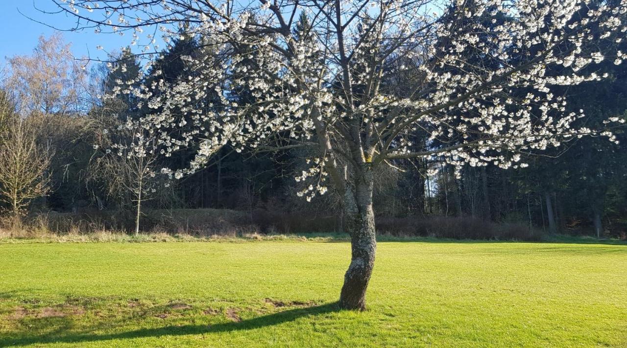 Pokoje Goscinne Art- Dworek Kudowa-Zdrój Esterno foto
