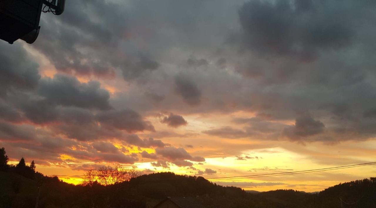 Pokoje Goscinne Art- Dworek Kudowa-Zdrój Esterno foto
