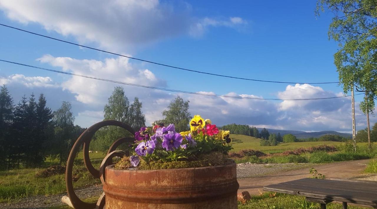 Pokoje Goscinne Art- Dworek Kudowa-Zdrój Esterno foto