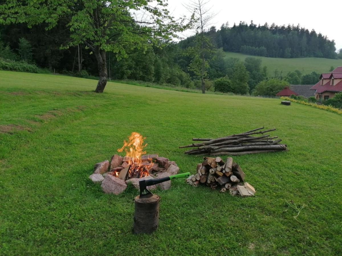 Pokoje Goscinne Art- Dworek Kudowa-Zdrój Esterno foto