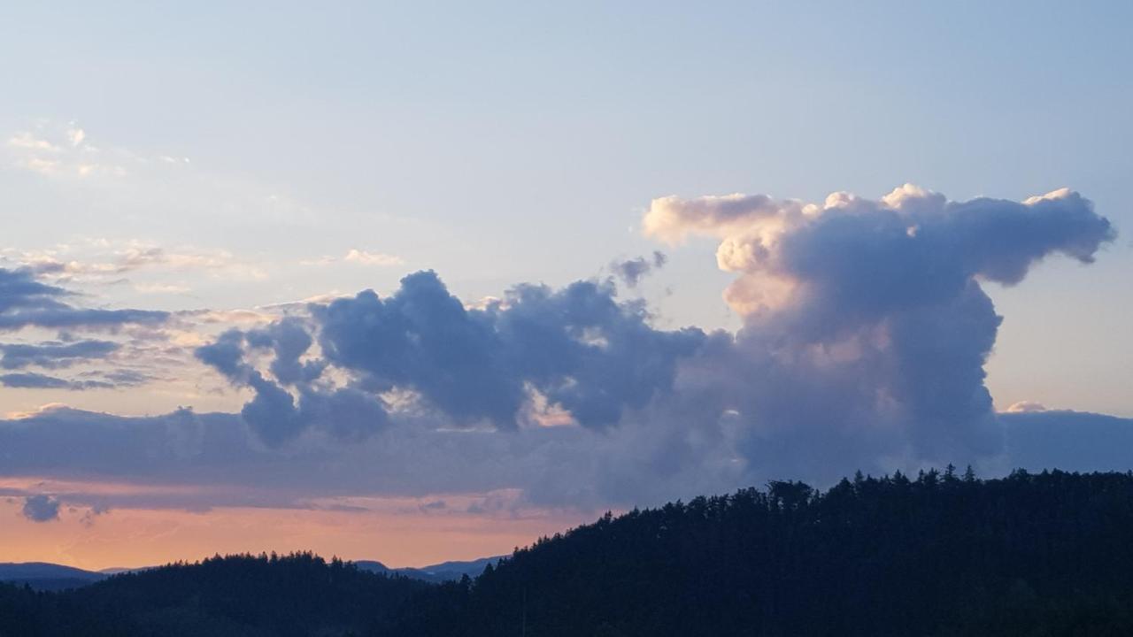 Pokoje Goscinne Art- Dworek Kudowa-Zdrój Esterno foto