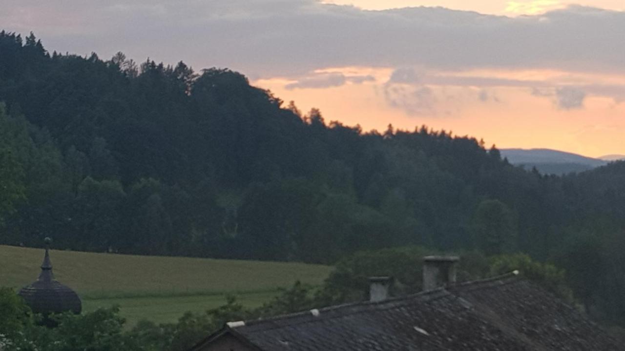Pokoje Goscinne Art- Dworek Kudowa-Zdrój Esterno foto