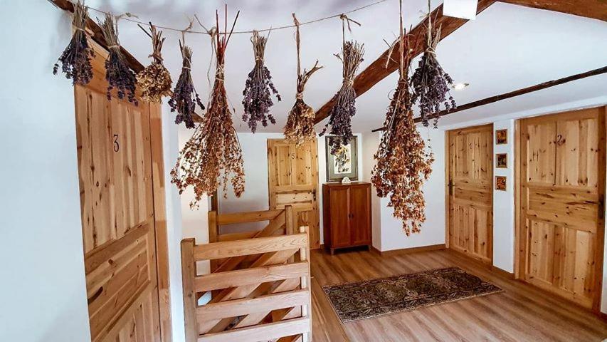 Pokoje Goscinne Art- Dworek Kudowa-Zdrój Esterno foto