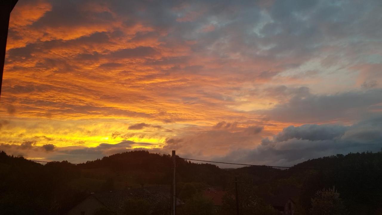 Pokoje Goscinne Art- Dworek Kudowa-Zdrój Esterno foto
