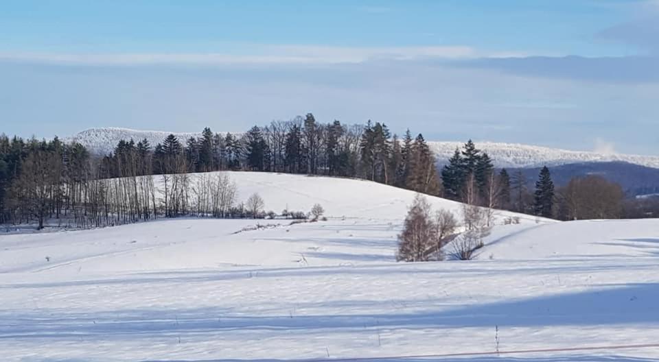 Pokoje Goscinne Art- Dworek Kudowa-Zdrój Esterno foto