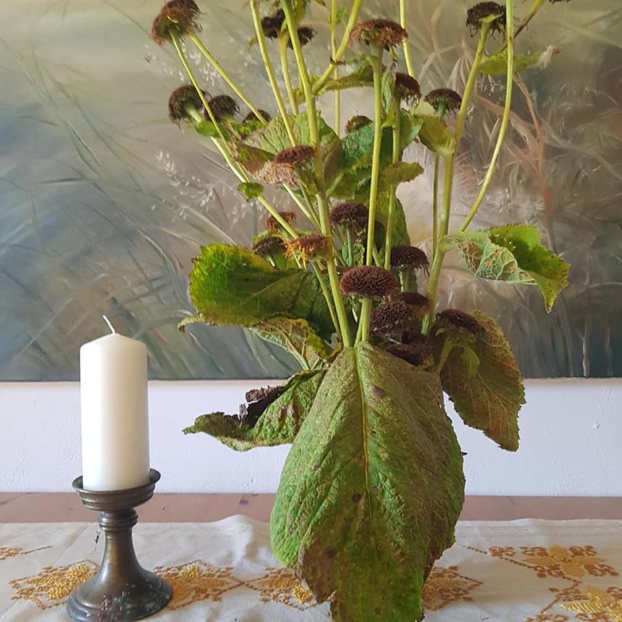 Pokoje Goscinne Art- Dworek Kudowa-Zdrój Esterno foto